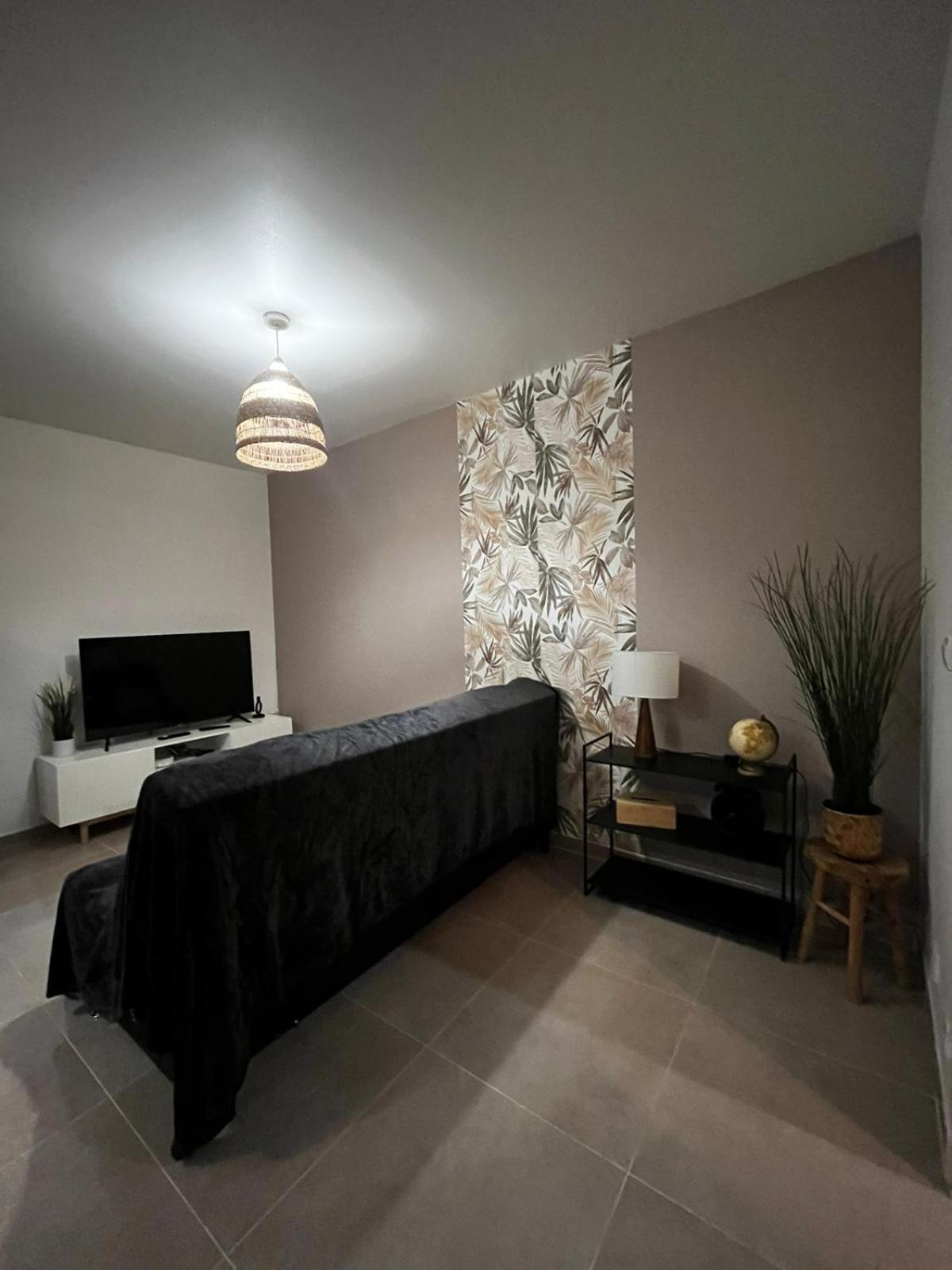 Appartement Des Carmes نيم المظهر الخارجي الصورة